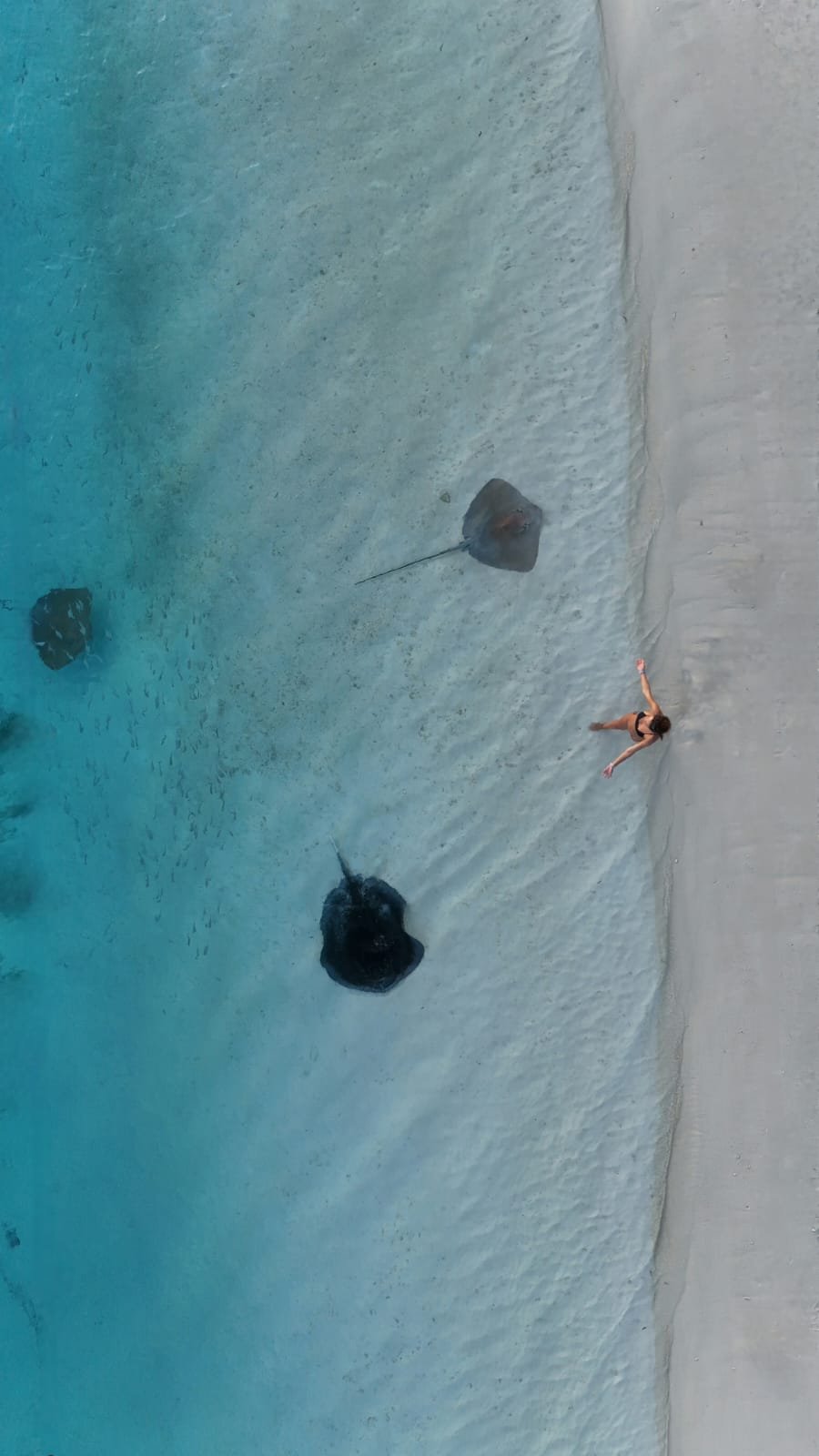 Photography Project 10